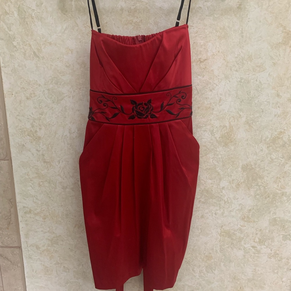 Red Formal Dress worn 1x